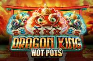Dragon King Hot Pots